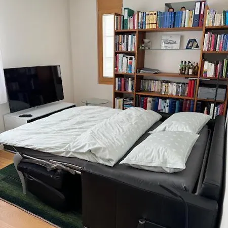 Modern Flat Davos With Lake Davos View Apartment