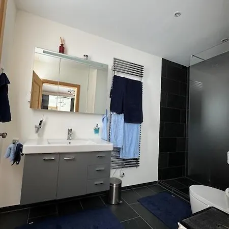 Modern Flat Davos With Lake Davos View Davos